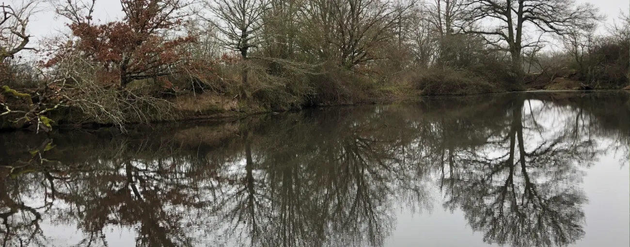 Miroir en hiver 2024